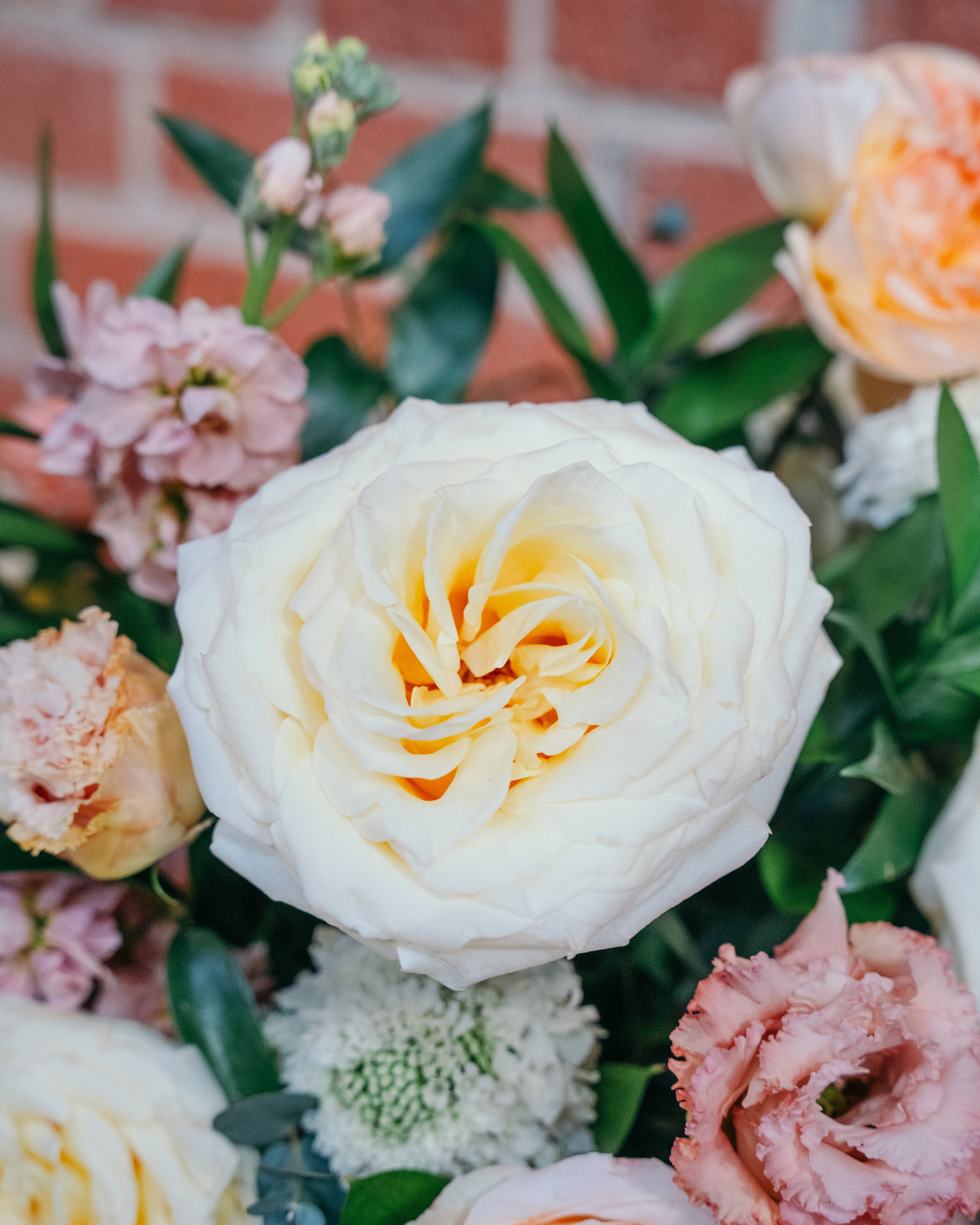 How to Make Your Flowers Last Longer