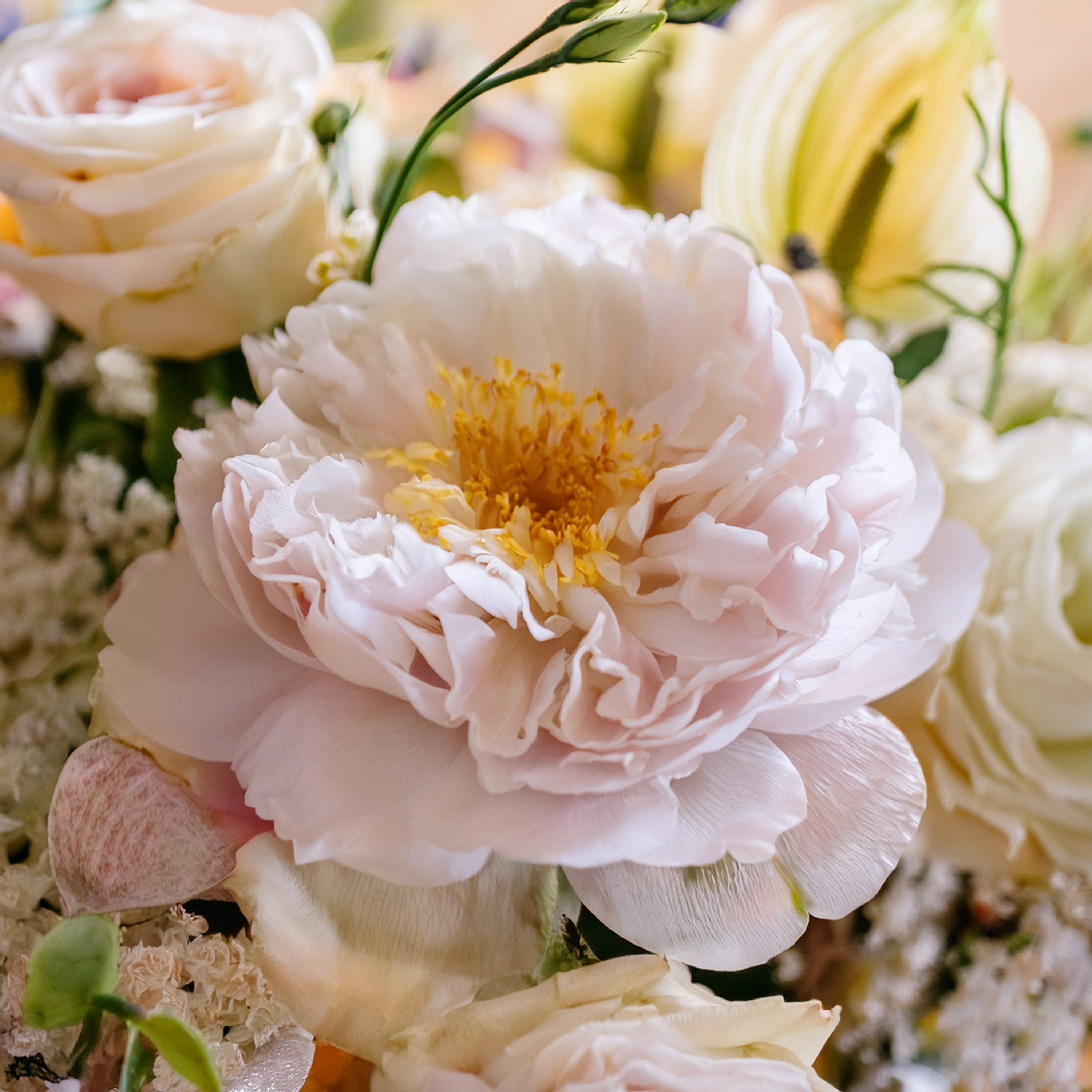 The Benefits of Having Fresh Flowers in Your Home Every Day