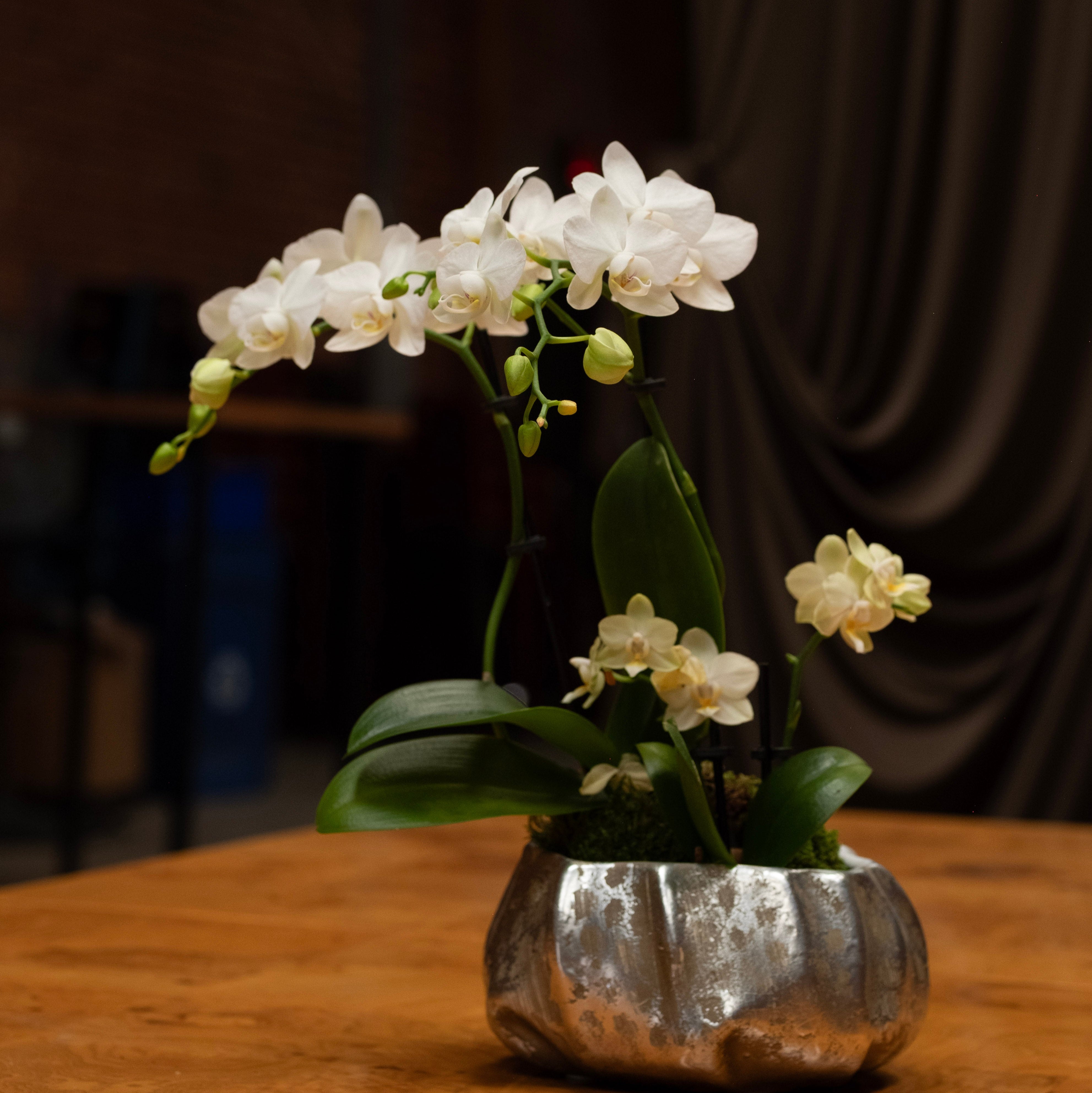 The Flower Ateliers