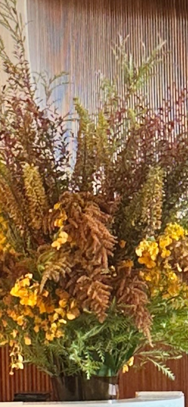 Eremurus & Orchid | Architectural Statement Arrangement