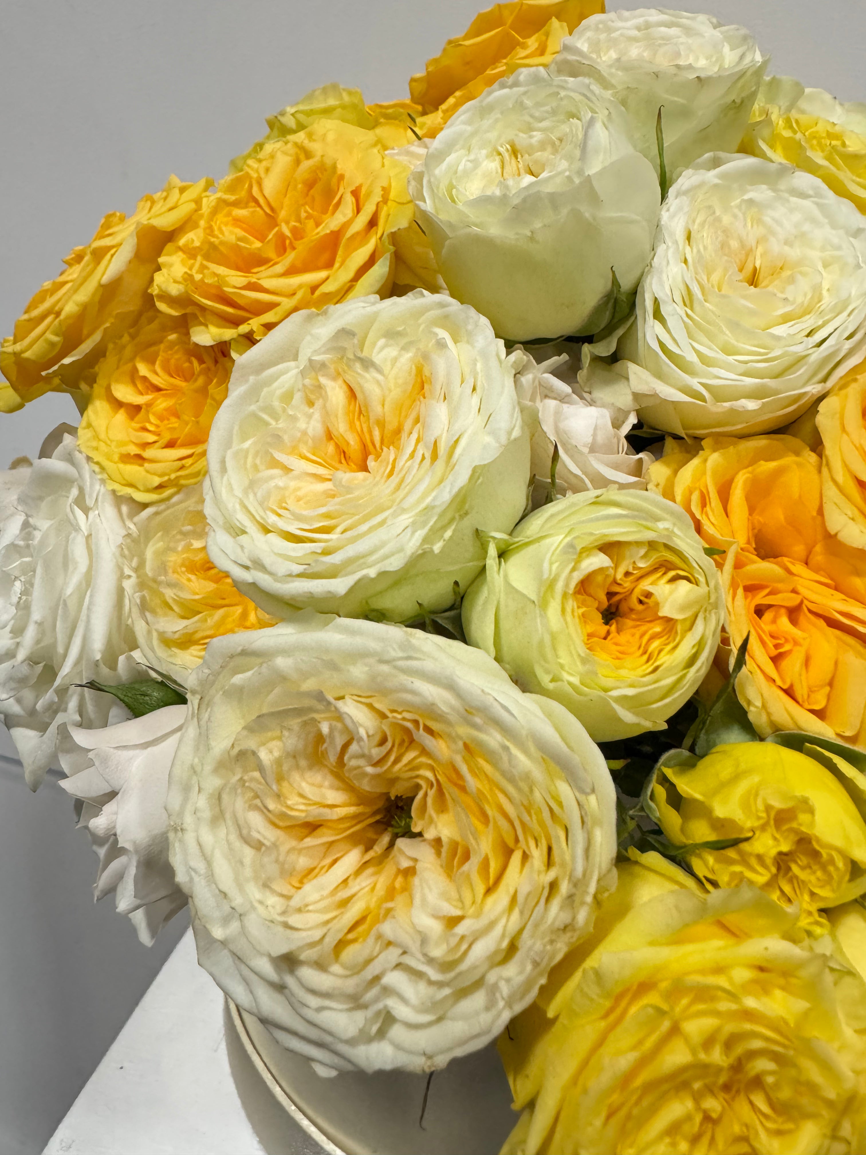 Golden Hour Hat Box Arrangement – Luxury Yellow & Cream Garden Roses