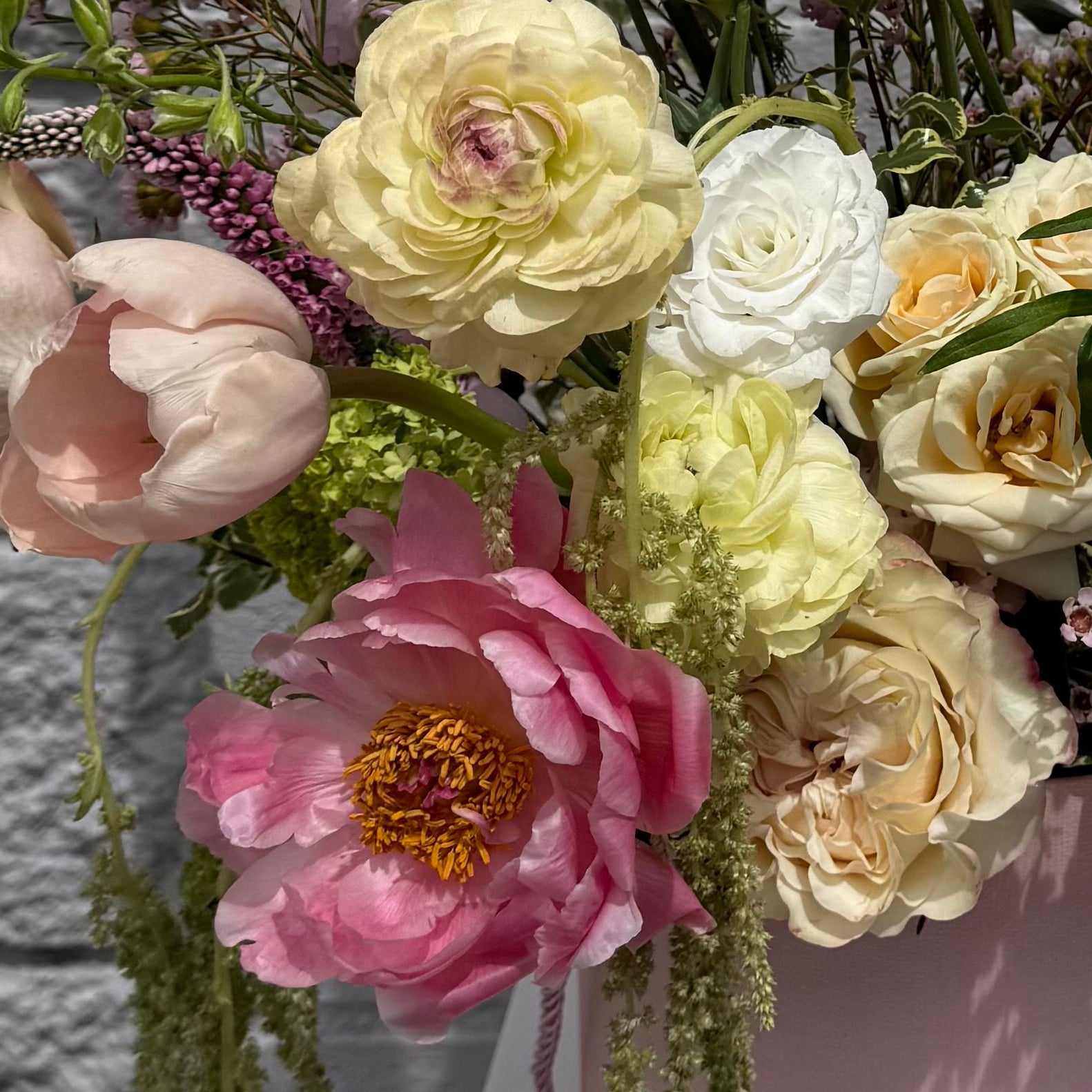 The Soft Muse – | Los Angeles