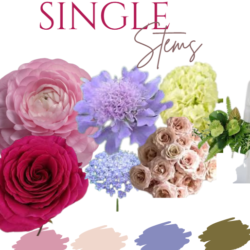 Collection of single stems of various flowers with color swatches on a white background.